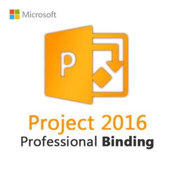 Project 2016 Professional Binding License Key