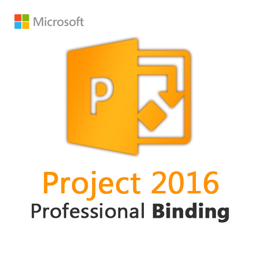 Project 2016 Professional Binding License Key