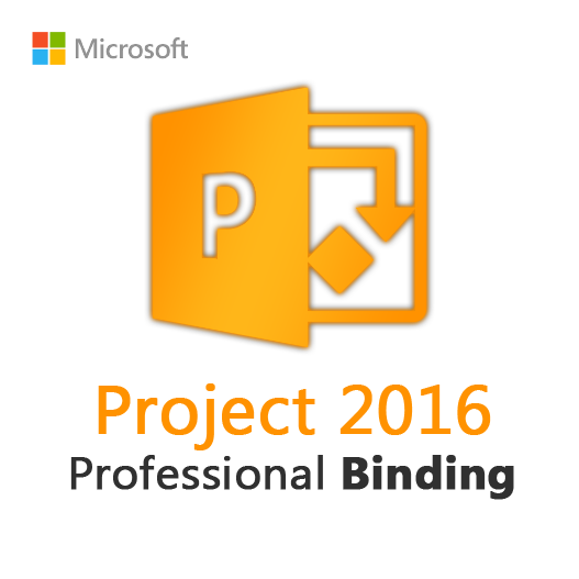 Project 2016 Professional Binding License Key