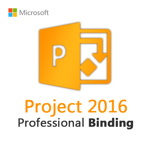 Project 2016 Professional Binding License Key