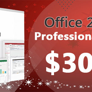Office 2019 Professional Plus good price