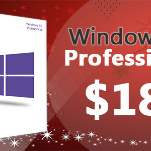 Windows 10 Professional good price