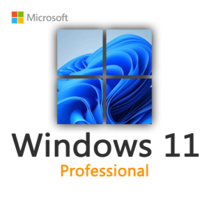Windows 11 Professional License Key for 1 User