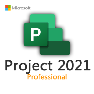 PROJECT 2021 Professional License Key